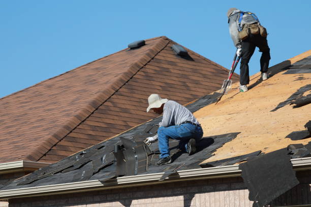 Best Roof Moss and Algae Removal  in Beverly Hills, CA