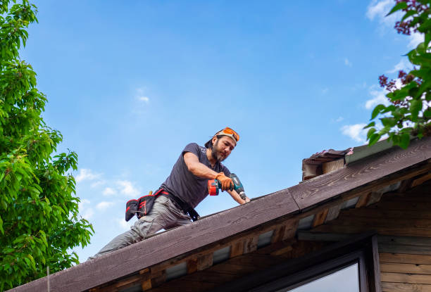 Best Roof Maintenance and Cleaning  in Beverly Hills, CA